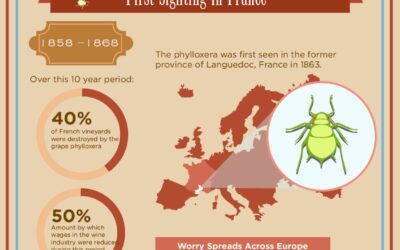 The Great French Wine Blight