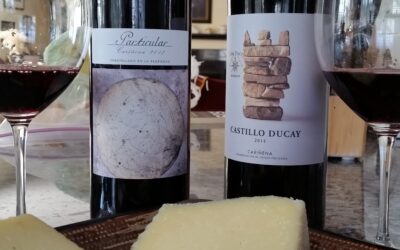 A Carinena and Garnacha Wine Under $9.99