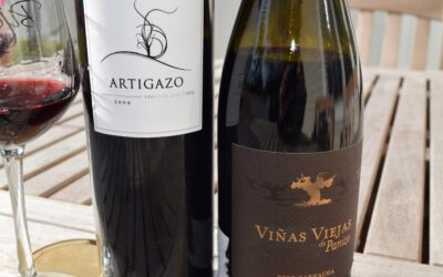 The Wines of Bodegas Paniza