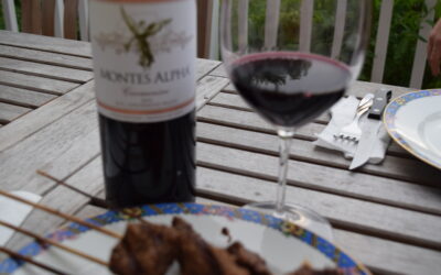 Wines of Chile: Montes Wines