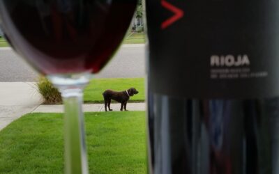 Tempranillo and Dominican Cigar Pairing