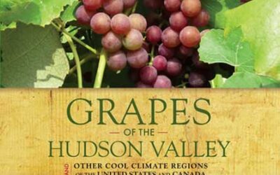 Get to Know the Grapes of the Hudson Valley with Steve Casscles