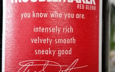 Are You A Troublemaker?