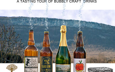 Take A Tasting Tour of Bubbly Craft Beverages in the Hudson Valley