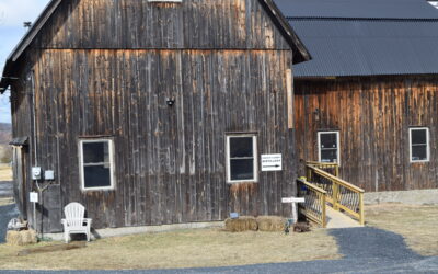 Uncovering the Spirits at Orange County Distillery