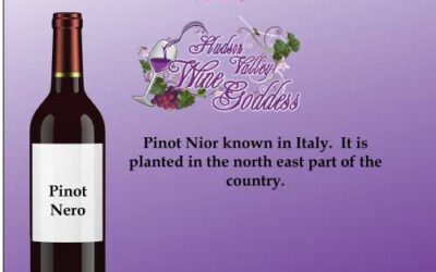 Wine Word Wednesday: Pinot Nero