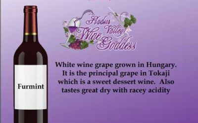 Wine Word Wednesday: Furmint