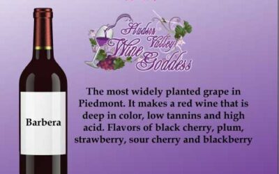 Wine Word Wednesday – Barbera