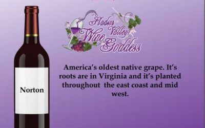 Wine Word Wednesday: Norton