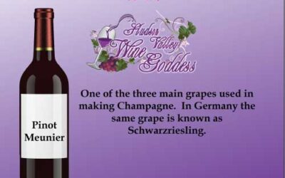 Wine Word Wednesday: Pinot Meunier