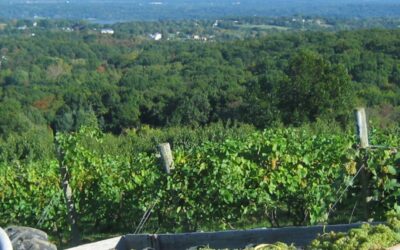 Discover Hudson Valley Uncorked – Day Trips & Weekend Itineraries to Wineries, Breweries, & Cideries