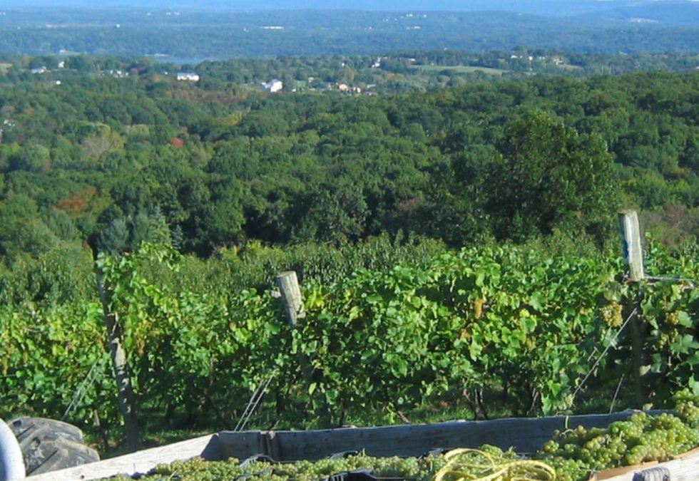 Discover Hudson Valley Uncorked – Day Trips & Weekend Itineraries to Wineries, Breweries, & Cideries