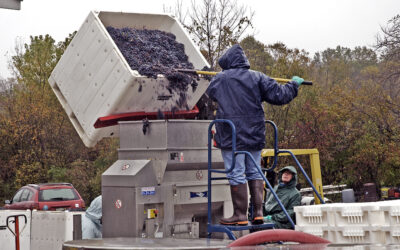 Hudson Valley Harvest – Celebration of Grapes, Hops and more