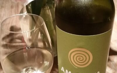 Political Debate Wine Pairing