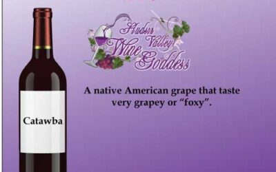 Wine Word Wednesday: Catawba