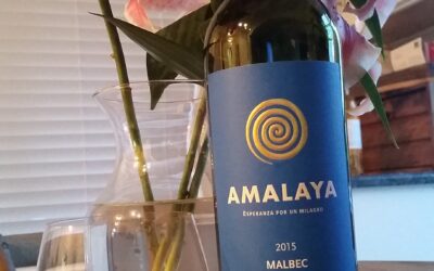 Debate #2 with Amalaya Malbec