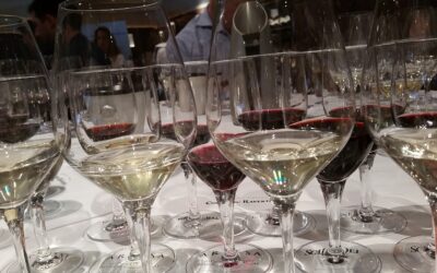 Around the World with Codorniu Raventos Selections