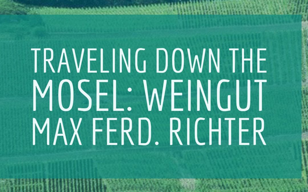 Traveling Down the Mosel: Weingut Max Ferd. Richter