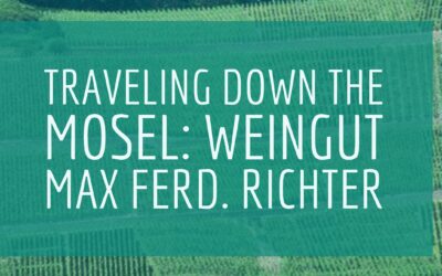 Traveling Down the Mosel: Weingut Max Ferd. Richter