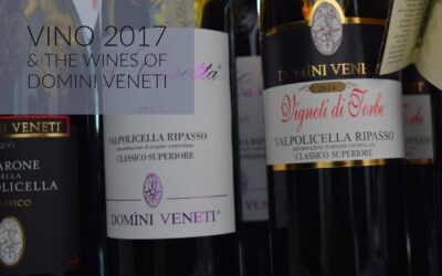 Vino 2017 & The Wines of Domini Veneti
