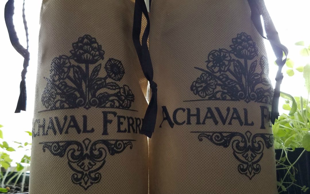 Blind Wine Tasting with Achaval-Ferrer