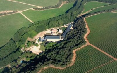 Exploring Northeast Spain’s first DO Pago Winery – Arinzano