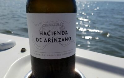 Late Afternoon Boat Ride with Arinzano