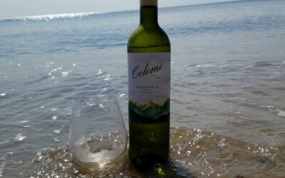 Argentina Wines of Distinction – Bodega Colomé