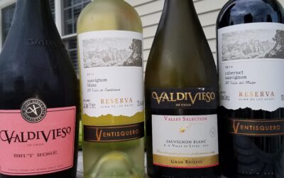 3 Ways to Enjoy Wines of Chile