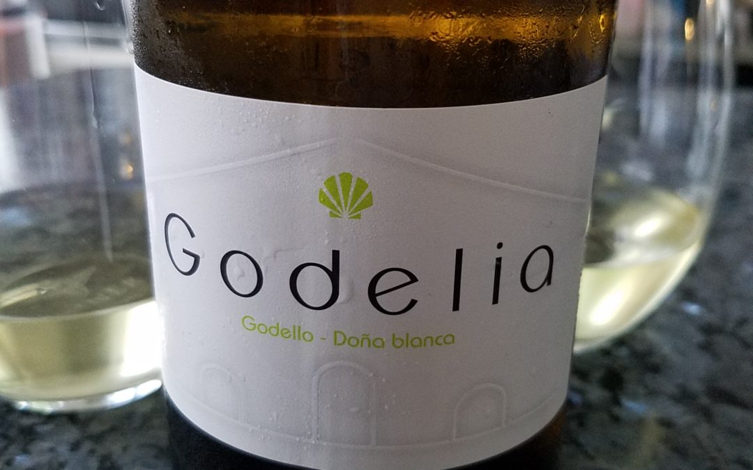 Exploring the Godello and Dona Blanca Grape with Godelia