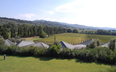 Exploring the Super Tuscans of Ca’ Marcanda