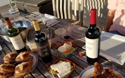 Many Ways to Enjoy Nieto Senetiner Wines