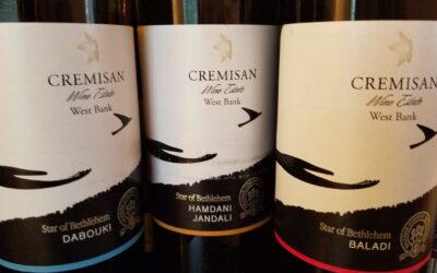 Levant – The Ancient Area of Winemaking