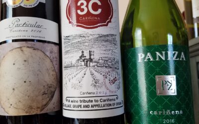 3 Red Wines to Pair with your Thanksgiving