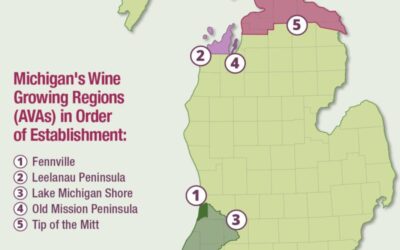 Blown Away By Michigan Wines