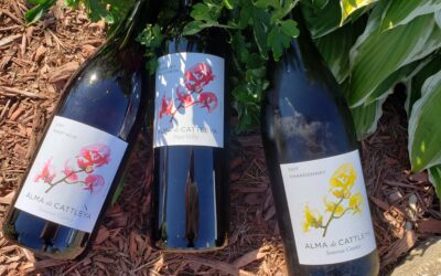 Alma de Cattleya Wines Pair – Share – Enjoy