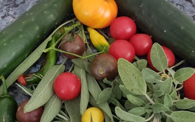 Celebrating Garden Harvest with Brazilian Wine #WinePW