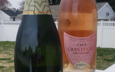 Cava from Carinena