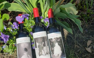 The Celebrities of Bodega San Valero (BSV)
