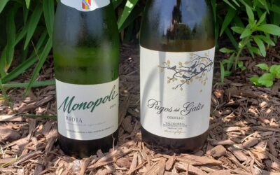 2 Spanish White Wines to Quench Your Thirst This Summer