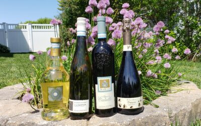 Lugana and Turbiana the Jewel of Lake Garda