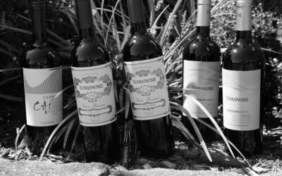 25 Years of Carmenere – The Carmenere Evolution of TerraNoble