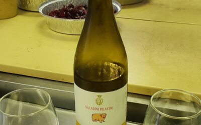 Kitchen Wine: Pecorino