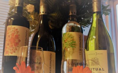 Organic Wines From Chile You Need To Be Drinking