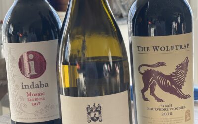 South Africa Wines Need Us