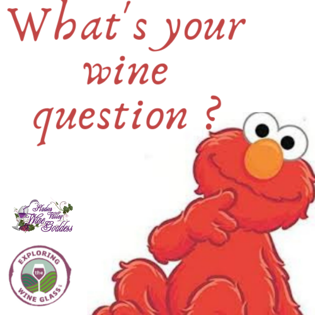 Questions Questions We Want to Answer Your Wine Questions for