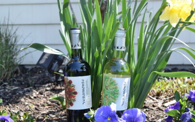 Celebrate Earth Day with Veramonte Organic Wines