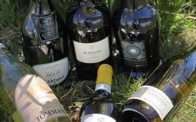 Lugana Wines – As Fresh as Spring Flowers