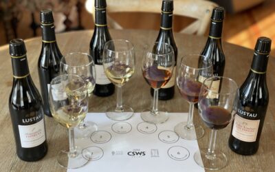 I Passed the Certified Sherry Wine Specialist Exam! Sharing Some Sherry Love