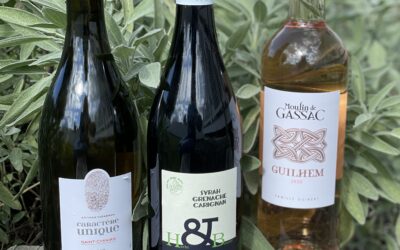 Different Personalities of Languedoc
